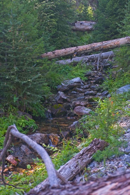 I find what I recall from the first time I did this loop; water.  It is located in a fairly flat section immediately above the initial steep-walled gorge. I stop and pump enough water to mix a hydration drink.  It's worth getting enough water here for the night, in the event you fail to find the creek near the 8700' level in the basin above.
