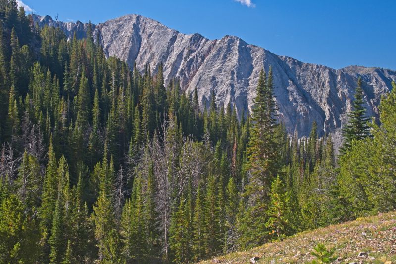 I took this photo of the ridge on the south side of Iron Basin as a reference to help locate that stream next trip.  It descends west northwest from WCP-7 (10777'), which is not visible and further left (east southeast).  I believe there is a small lake behind it to the south.  The lake is perched well above the east side of the lower north/south section leading to Iron Basin proper.  I have not yet seen it, but it is a possible water source.
