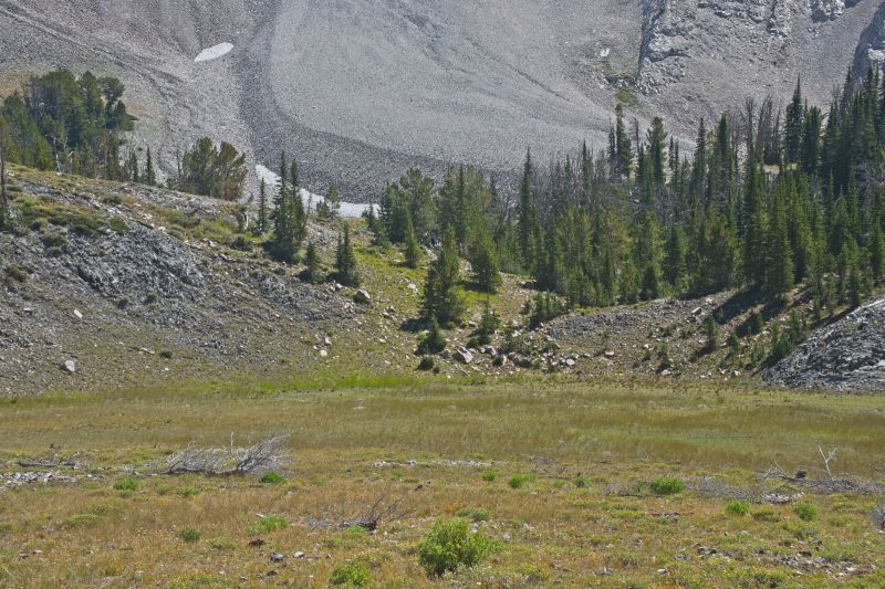 Crossing the meadow due south and well above Ocalkins Lake. It appears that the stream is flowing beyond those trees ahead.  I should be able to find water without going out of my way.
