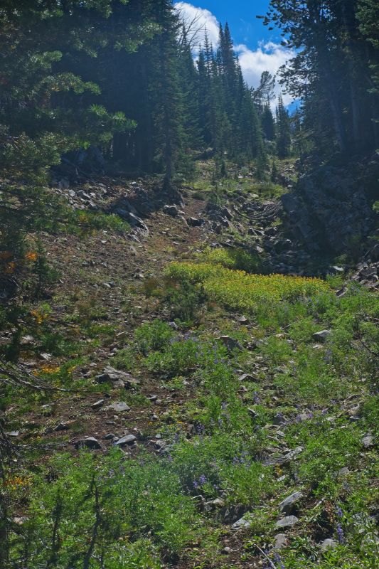 Following the drainage just east of Bighorn Basin.  This is not the route I usually take, but it is has welcome intermittent shade, and is not much longer.  I'm happy to have water!
