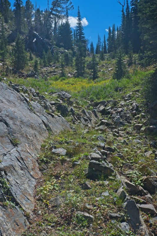 This route will lead directly to the base of the climb to the saddle between WCP-9 and D. O. Lee Peak.  It is a warm day, so any shade is welcome.
