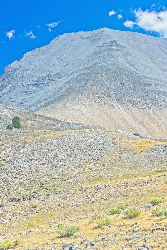 The route follows a slight ridge further north, which is quite a bit more stable than the talus directly below the saddle. The outcrop I'm headed for is the darker rock, three quarters of the way to the top.
