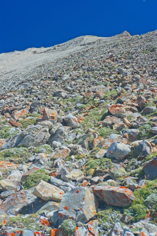 The climb to the WCP-9 / D. O. Lee Peak saddle begins; no threat of a thunderstorm.  The grassy turf between the solid rocks makes it easy, but this won't last.
