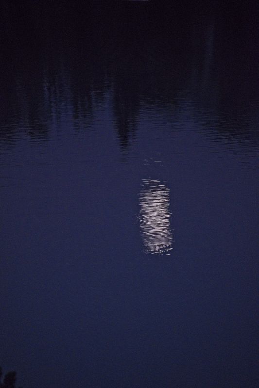 Moon reflected in Cove Lake.  Again, the long end of the 50-200 mm lens.
