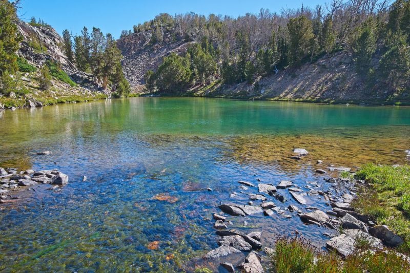 I can see trout swimming in this small lake-let just below and east of Cove Lake.
