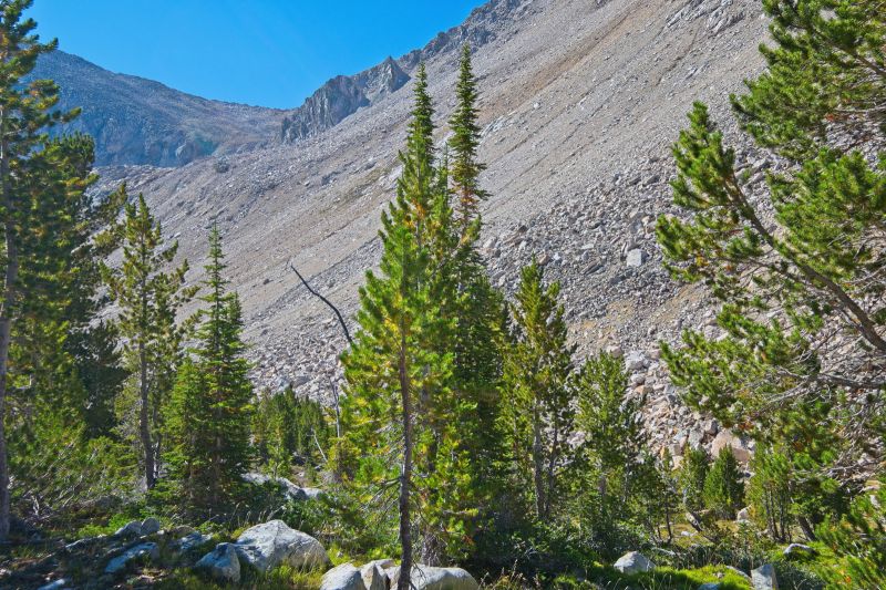 Looking south southeast; the pass is just left (east) of the lowest part of the saddle.  A direct route diagonals up and left through all that unstable talus to the rock ridge coming down from the right skyline.  I would much rather descend and climb the much more aesthetic route which starts just above Island Lake.
