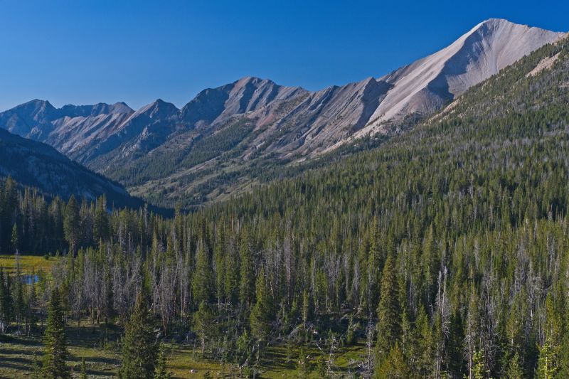 The trail opens up to this view north into Ants Basin after making a steep climb within the first mile after leaving Born Lakes.  The entrance to Iron Basin is marked by those two peaks on the left (northwest) edge of frame, above the ridge in the foreground, and below the ridge on the skyline.
