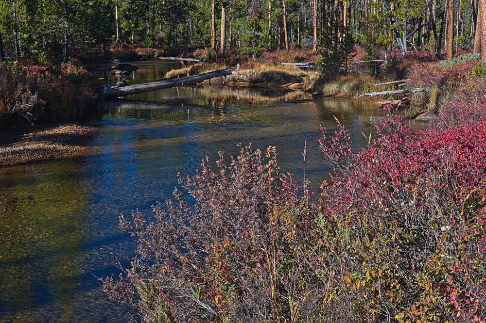 Starting from the lower trail head has its advantages.  After a short climb, one follows a beautiful meandering stream.  The colors are intense.  The trail is almost flat for most of the five miles one might 'save' by driving to the upper trail head.  I drive a car which has very little ground clearance, but it corners well and gets phenomenal mileage.  I'll take the lower trail head any time!
