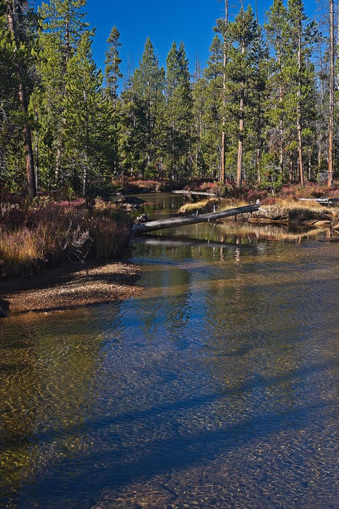 One and a third miles from the lower trail head and a climb of 400', the trail levels out alongside Hell Roaring Creek.
