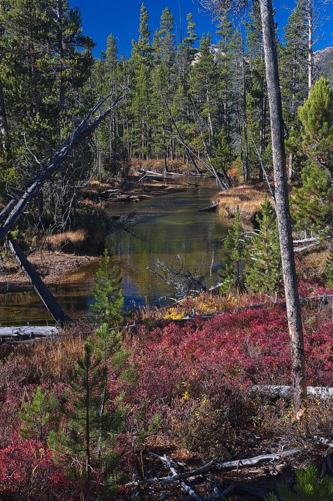 The trail follows the wide valley west, staying on the north side of  Hell Roaring Creek, climbing gradually toward  Hell Roaring Lake.
