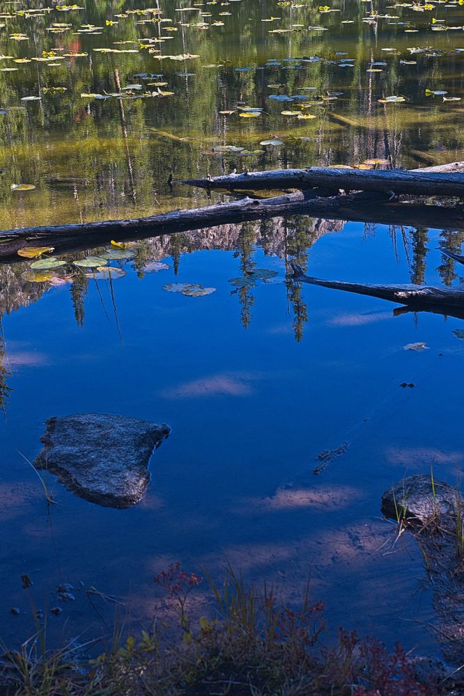 Closer on the tarn.  I wanted to get close to one of the lily pads, but it was boggy, and I would have had to remove my shoes to avoid wet socks.  It was almost 4 pm, and I decided to keep hiking, hoping I would be able to set up camp and maybe even do some fishing before it got dark.
