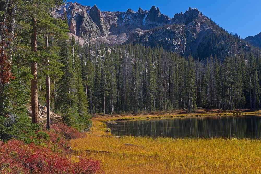 Lake at 8260', about a mile below (north) the outlet of Imogene Lake.
