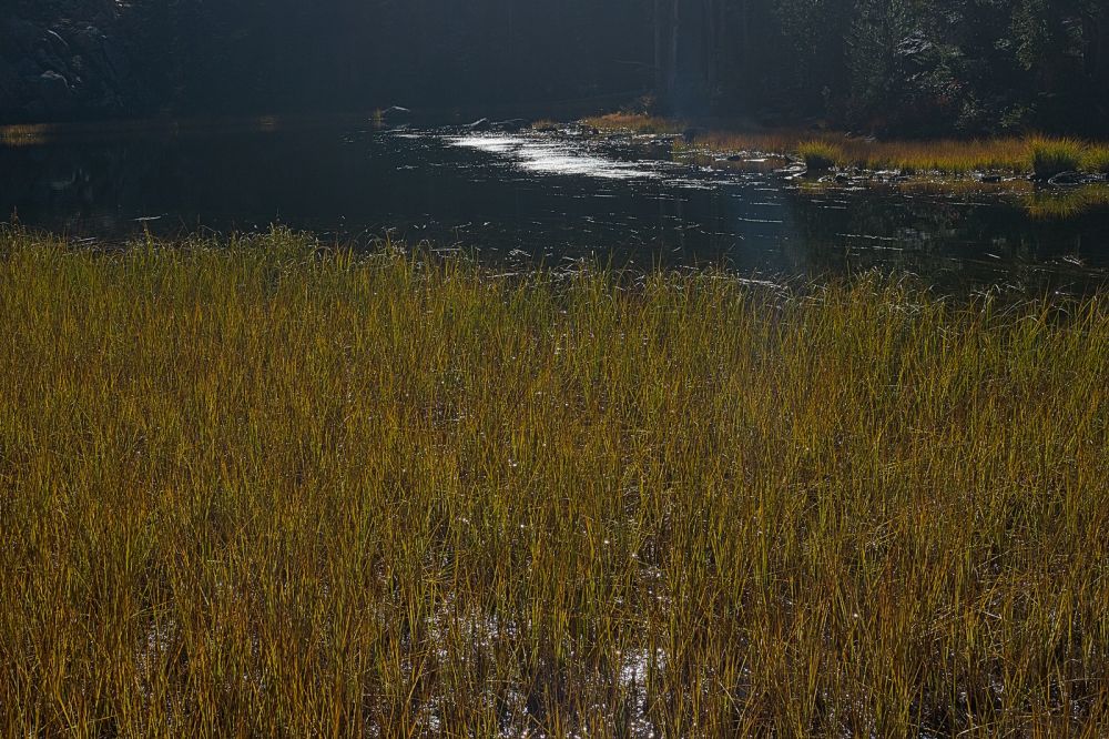 Lake at 8260'; outlet.
