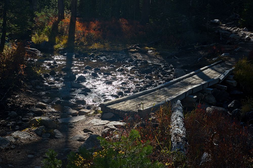 Just before arriving at Imogene Lake, the trail crosses stream descending from the outflow of a small lake (8400') northeast of Imogene Lake.
