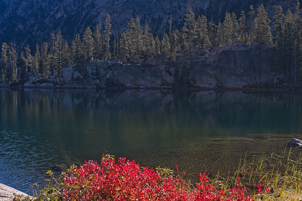 A finger of the lake just east of my campsite; fall colors in morning sun.  I could see trout cruising the shallows here.
