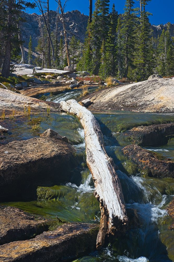 Ridge southeast of Payette Peak above outlet stream from Lake 8556'.
