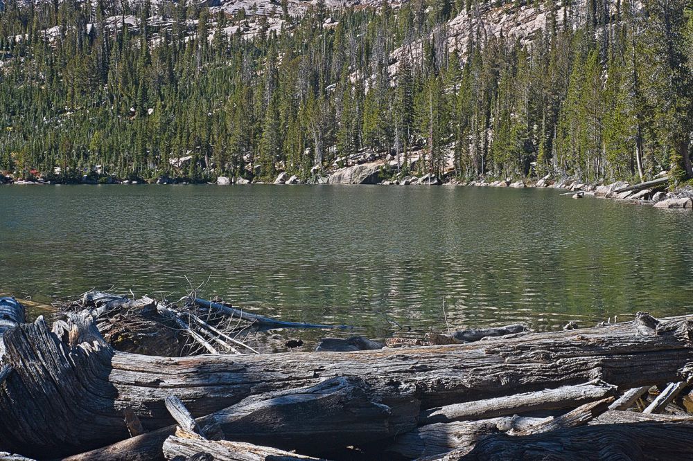 Normally I would head to the inlet to fish, but I could see trout rising at the outlet.  I fished the right (north) side of the lake, hooking into a nice rainbow on the first cast.  It appeared there was a hatch taking place, as many fish were rising, some jumping.  I crossed the inlet to the left side (south) to take advantage of the wind.  Another rainbow managed to escape from my hand as I was trying to put it on the stringer.  It dove down in a pool beside the lake, finding an opening under a big rock.  I had it by the tail fin, but it wiggled loose, disappearing under the rock.  I never saw it again!  After releasing several smaller fish, I still had a nice 12" rainbow for dinner!
