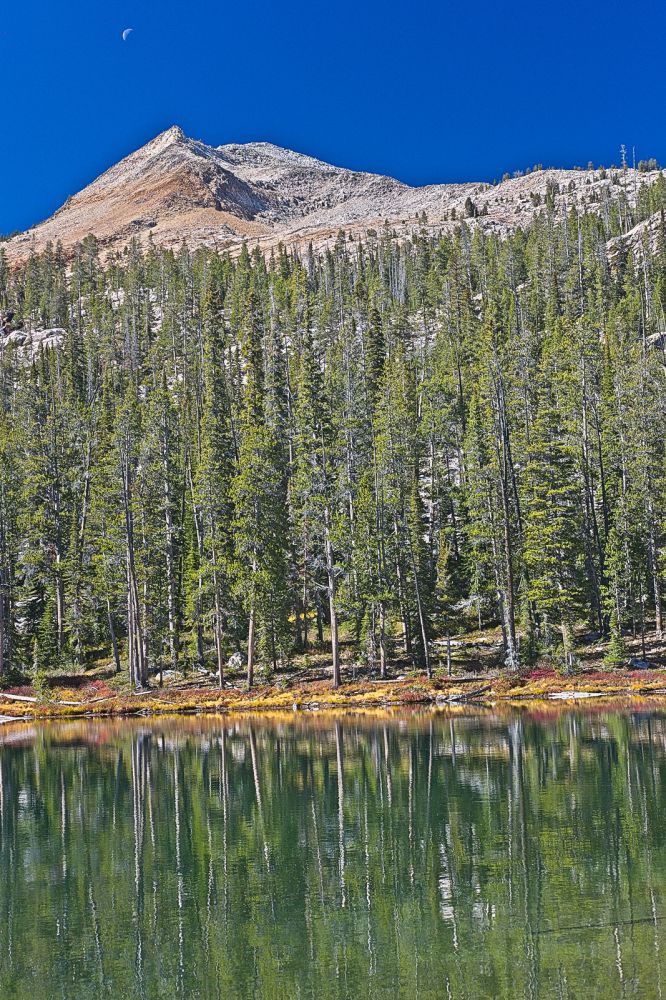 Lake at 8700', just west of point 8817'.  I ascend the wooded slopes north northwest of this lake, staying south of Profile Lake.
