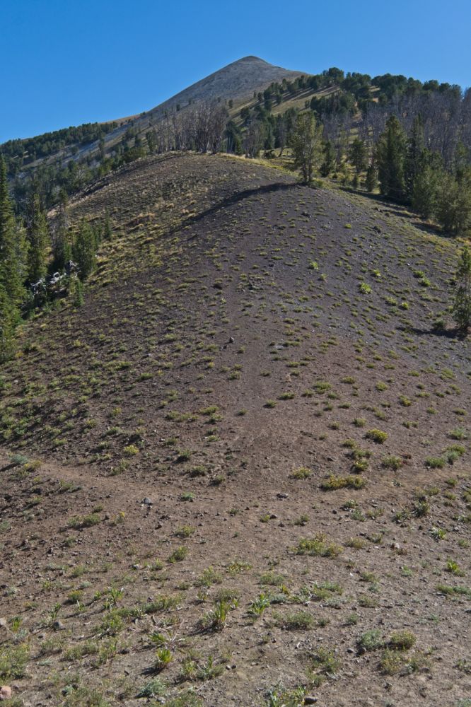 Blackman Peak, 10,300', NE of the saddle to the NNW of Fourth of July Creek trail head.  There is an obscure trail on the E side of the drainage which becomes more defined the higher one climbs.  It took me an hour and fifteen minutes to get here.
