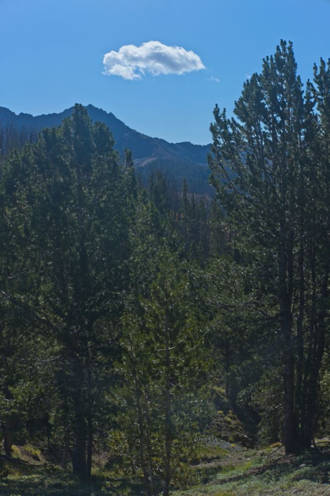 Looking SSE toward the trail head.
