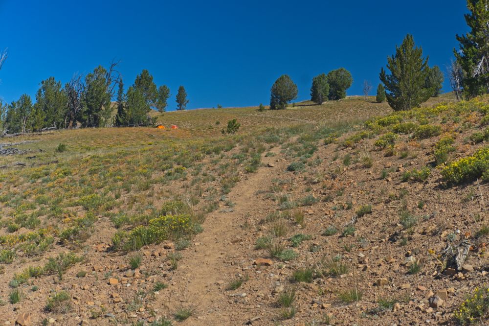 Heading N toward the saddle overlooking Strawberry Basin.  There always seem to be a few tents here.  The view is nice, but there is no water.  Not sure why anyone would camp here.  Maybe hunters preparing for bow season.
