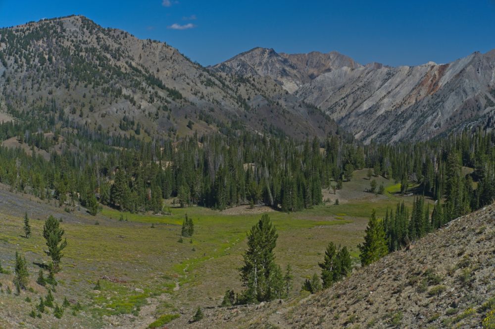 The trail continues on the E side through large scree for a quarter mile or so before reaching the valley floor.  I found it advantageous to descend as soon as possible to the dry stream coarse.  One can already see the entrance to Iron Basin SE of Watson Peak, the reddish colored peak on the skyline left of center. 
