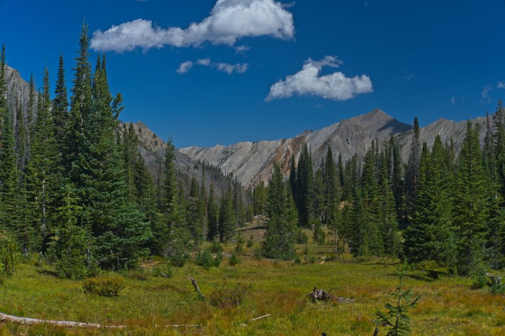 I don't think I've ever gone the same way twice.  The descent seemed easier this trip, especially near Warm Springs Creek where I managed to avoid the worst of the fallen timber.
