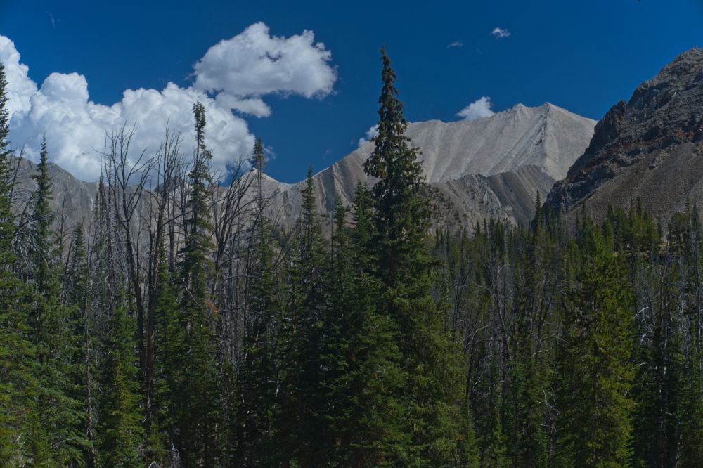 WCP-8 (10557') on the right.  The pyramid shaped peak below the higher large cumulus is WCP-6 (10777').
