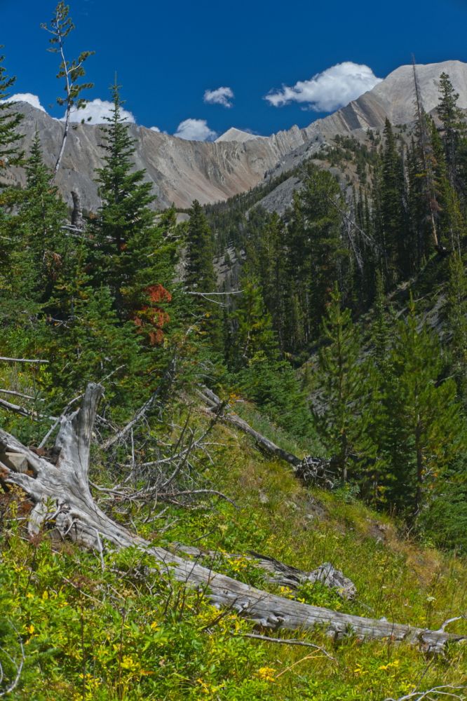 The pyramid shaped WCP-6 (10777') on the horizon (center).  The terrain gets steep in places before leveling out just before Warm Springs Creek.
