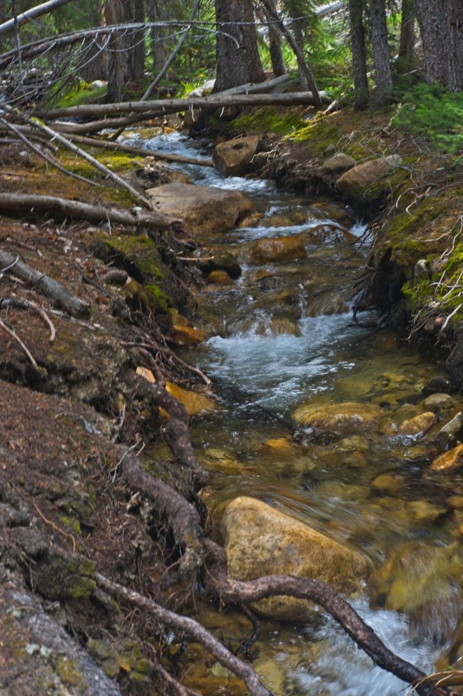 I crossed Warm Springs Creek at a place where it had divided into two channels, making it easier.
