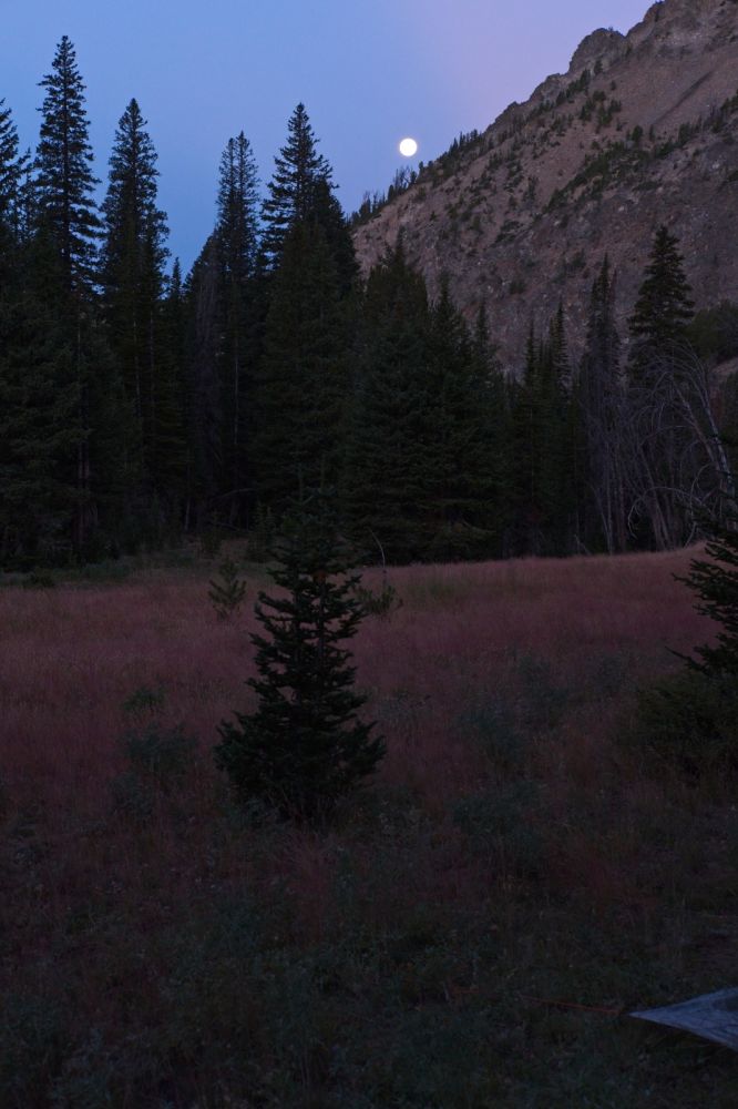 I was glad I had taken enough water with me to spend the night as I failed to find the stream around the 8700' for the second year in a row.  I'm not carrying a GPS or altimeter, which would make navigation easier, and my pack heavier.  There is a lake at about 8900' E of Iron Basin.  I have yet to climb up to it.
