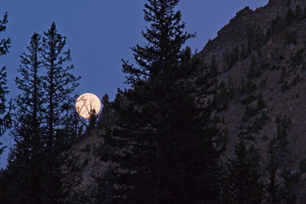 When The full moon rose last night, it was so bright I had to shade my eyes with my hat to sleep well; so much for the stars and what was left of the Perseid meteor shower.
