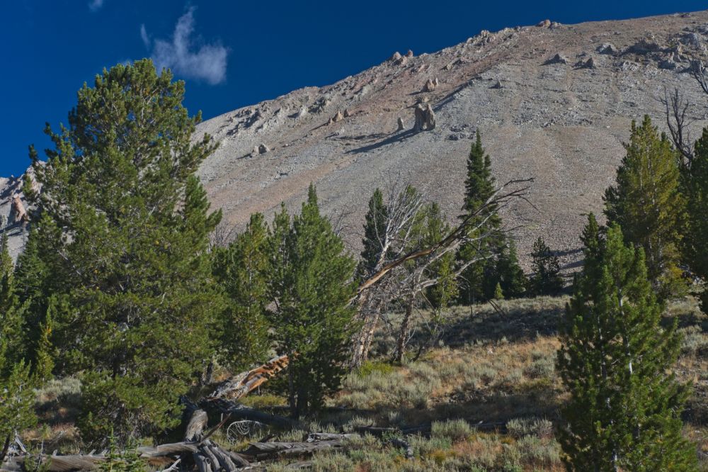 North wall of Iron Basin E of Watson Peak.  I've seen numerous Bighorn Sheep on this slope, but not this year or last.  There were two mountain goats on this slope further E last year.  The arch formation is cool.
