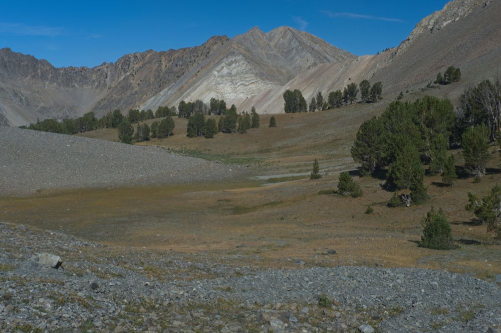 Looking back W to Watson Peak.  The slope on the right (N) is where I've seen Bighorn Sheep as well as mountain goats on previous trips.
