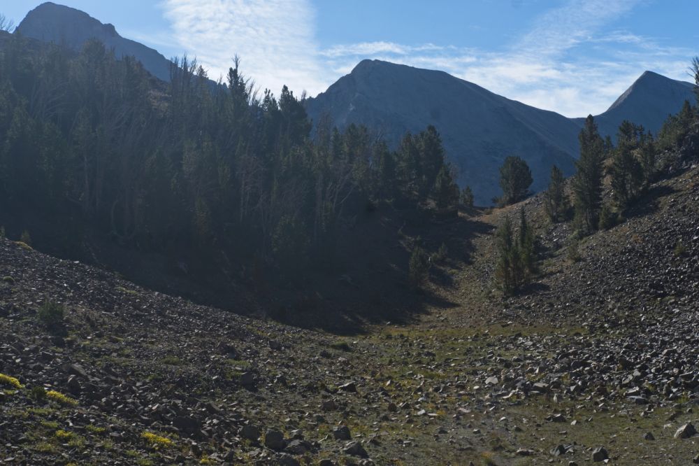 Just ahead is the steep drop to Ocalkens Lake, and the entrance to Bighorn Basin further S.  The saddle between D. O. Lee Peak and WCP-9 is now in view on the right skyline marked by a pine in the foreground.  From that same pine, one can see the start of the route up which lines up with the ridge in the foreground and the left edge of the foreground pine.  The route digonals up 45 degrees to the left, ascending to a rock outcrop almost to the skyline.  This is difficult to see clearly because WCP-9 is still backlit.  It becomes much clearer the closer one gets.
