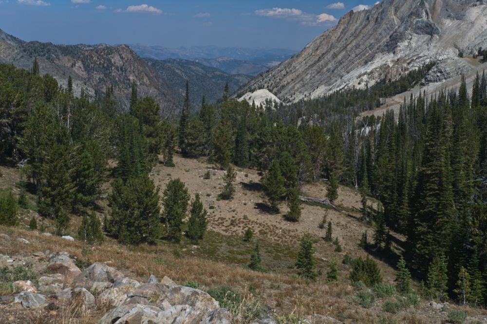 The view N past Ocalkens Lake (hidden).  Interestingly, a trail leads S from state highway 75 (W of Clayton), following Slate Creek, passing by Slate Creek Hot Spring, climbing all the way to Ocalkens Lake.  I like to do a loop, so I continue to repeat this hike from Fourth of July trail head.
