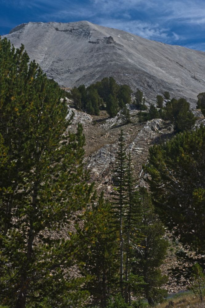 The route to saddle between D. O. Lee Peak and WCP-9 is seen clearly above.
