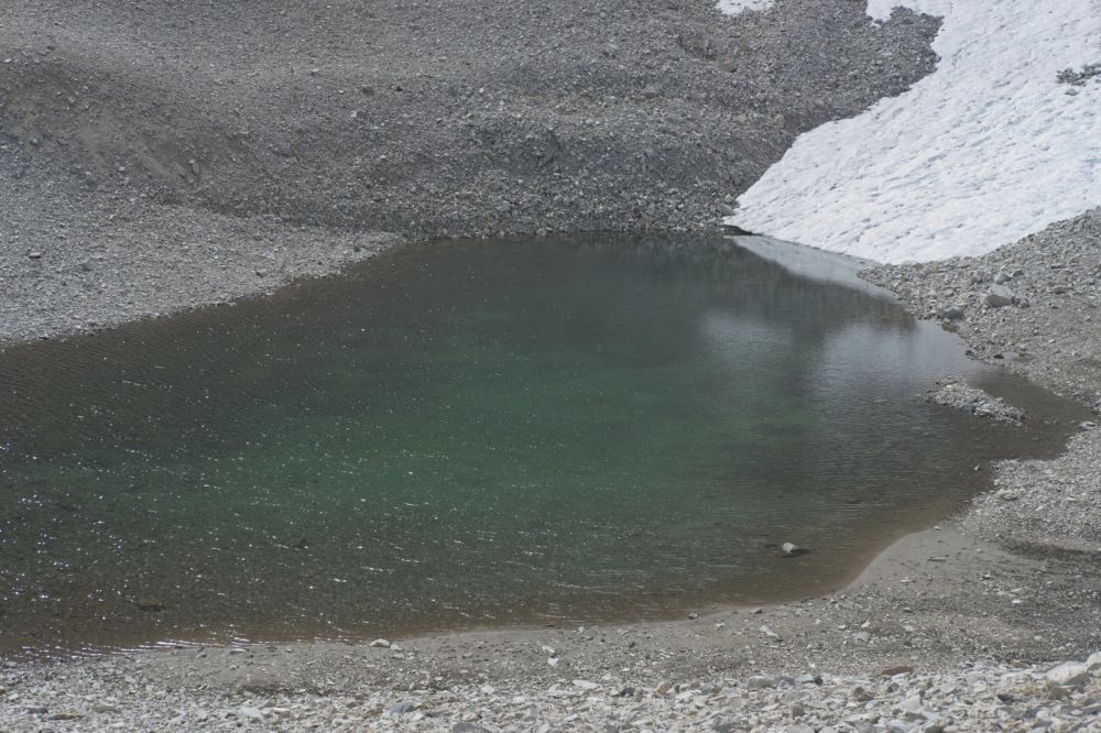 A few years ago I came upon five mountain goats that descended at high speed from the saddle above, directly to this tarn.  I quietly turned my back, swapped the wide angle lens for the telephoto, turned around and they had already vanished.  No goats so far, but lots of signs they are out and about.  Nice to see there is still some snow remaining here.
