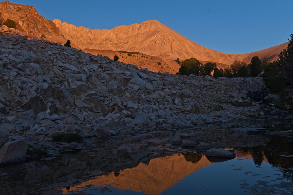 Alpenglow; D. O. Lee Peak, from the inlet at Cove Lake.
