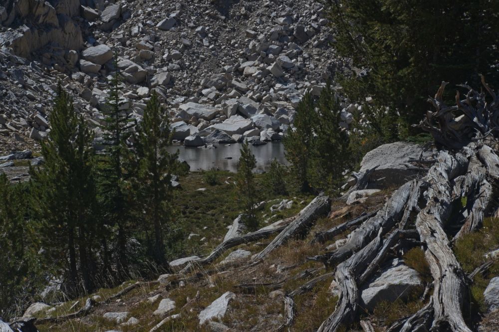 The first, largest, and most accessible of the three tarns, on this route.  At this point I usually ascend to the ridge to my right (NW); the views are better, and it also minimizes boulder-hopping further on.
