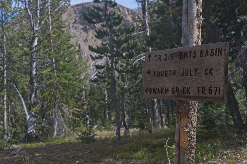 I sensed this signpost was just ahead.  I always keep a lookout for it.  There are numerous paths around these lakes.  Don't want to end up going a mile or so out of my way down Warm Springs Creek.
