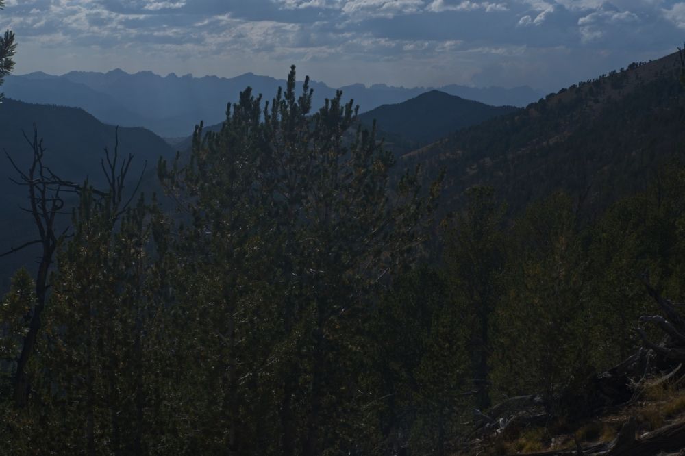 Descending toward Fourth of July Lake from the top of the ridge SW of Ants Basin, looking W across the Sawtooth Valley.  One can see the smoke from the Wapiti fire S of Stanley on frame right (N).  Yesterday I was told the road from Stanley to Grandjean was still closed.  I'm hoping that has changed, but not counting on it.
